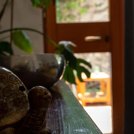 بيت للعطل Le Tartarughe Di Ro' Casavacanze مونديلّو