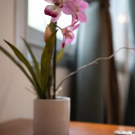 بيت للعطل Le Tartarughe Di Ro' Casavacanze